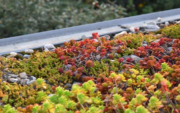 the cost of Mongleath green roof installation