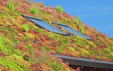 Mongleath living roof systems