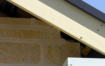 soffit repair Mongleath
